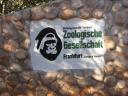 Bedrohlich