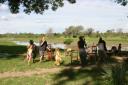 Luises Birthday Party at Marula