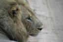 Mfuwe - South Lwanga National Park